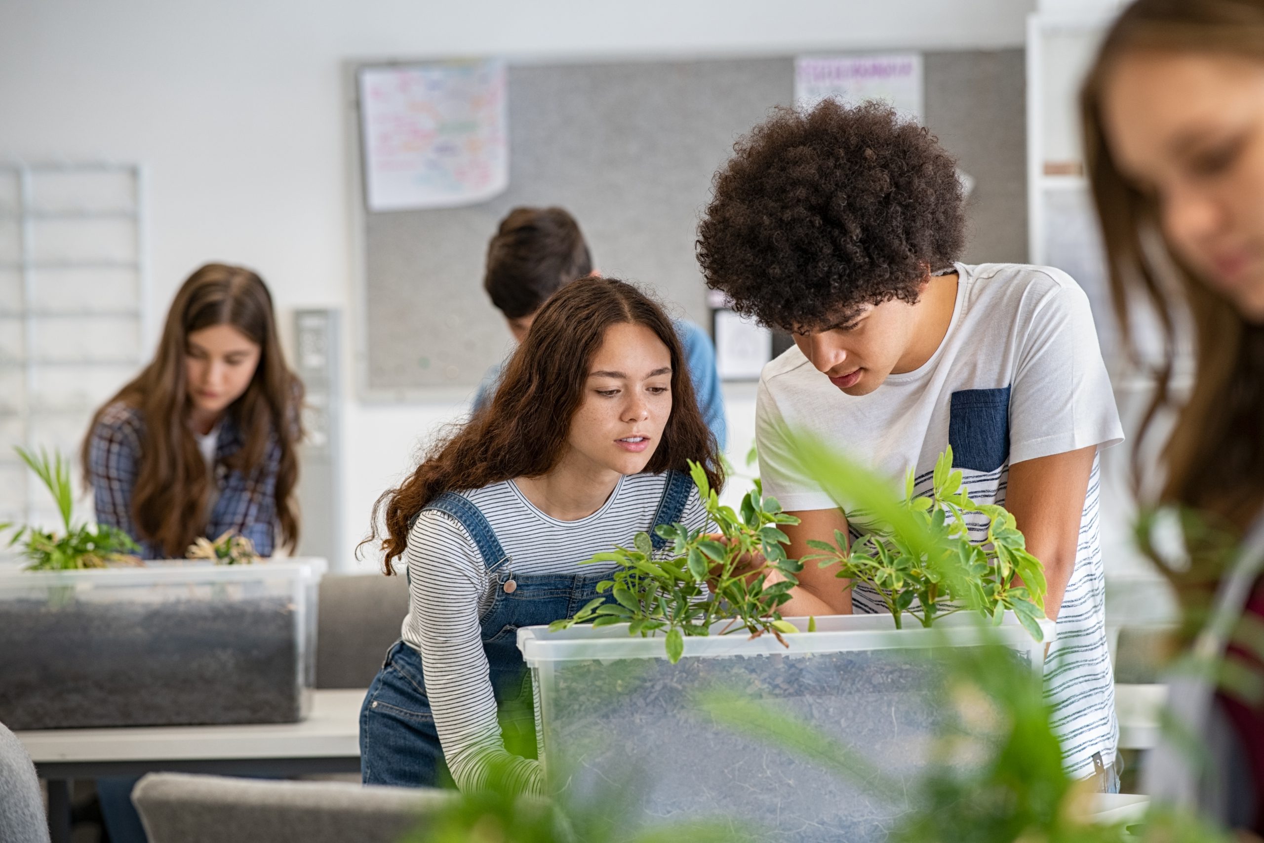 High school students in a lab studying plants