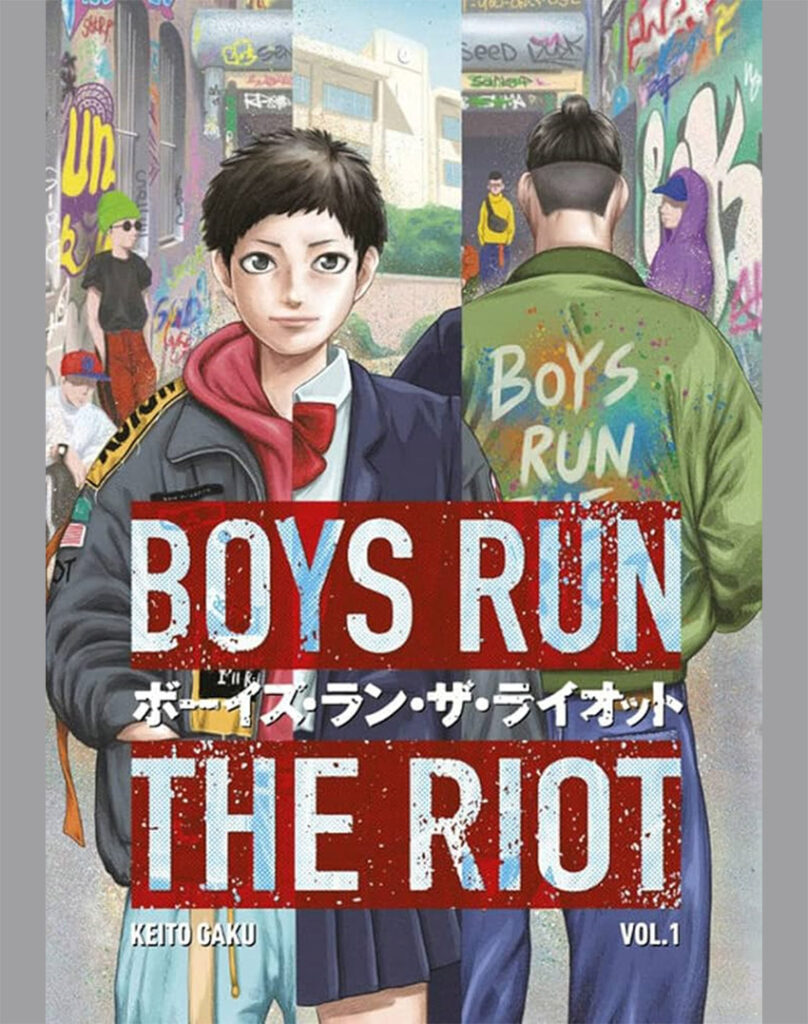 Boys Run the Riot book cover