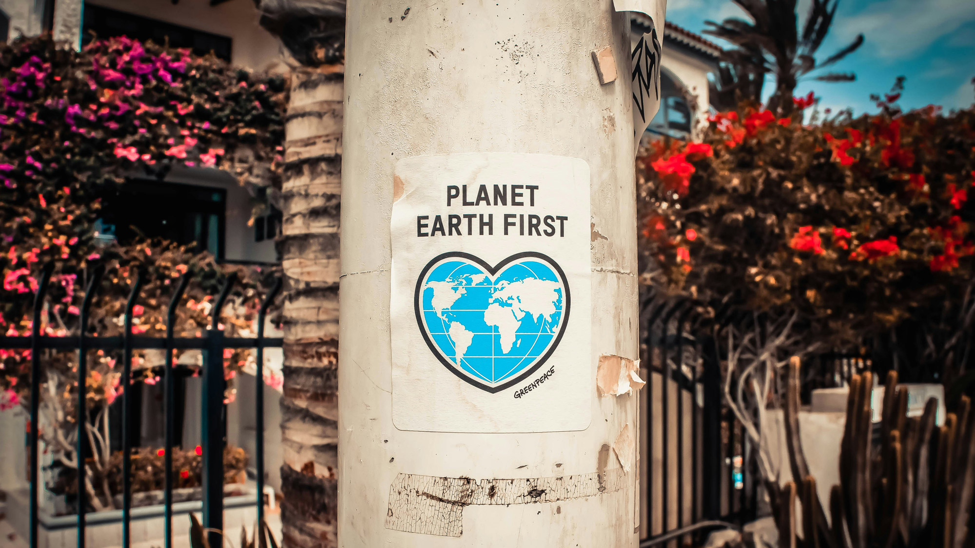 Why Environmental Justice Is Educational Justice
