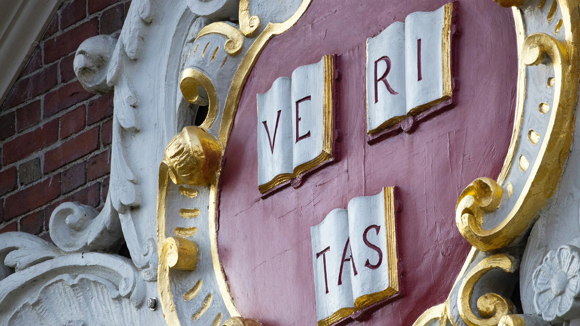 Harvard is Right: Colleges and Universities Need to Draw a Line in the Sand