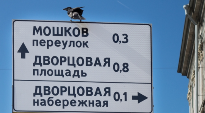 a bird on a sign that has foreign language characters , numbers and arrows