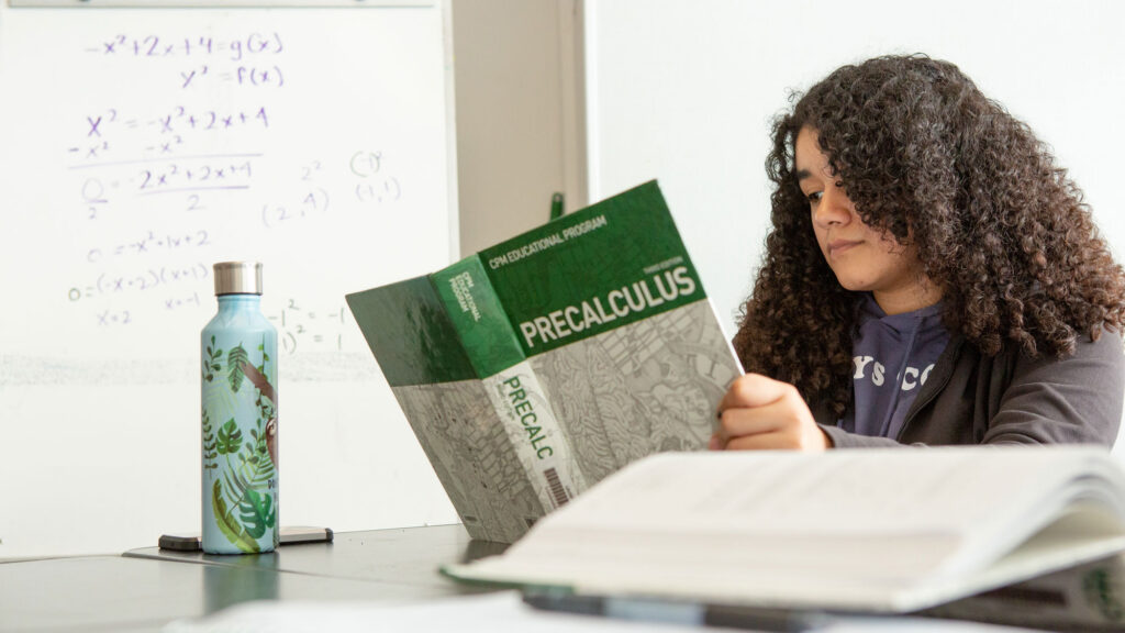 A high school student studies information in her Precalculus textbook during class