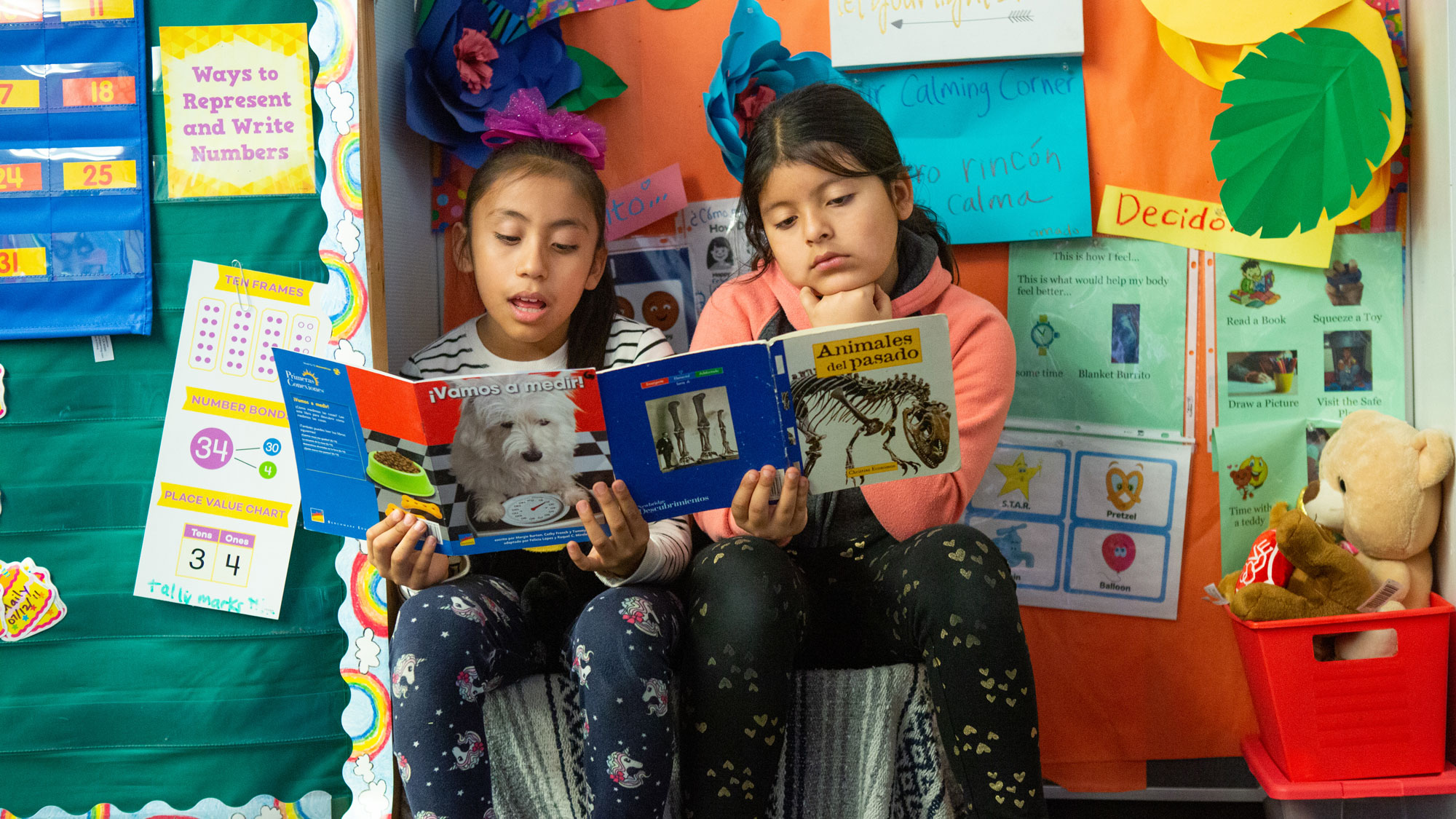 Trump Budget Proposal Tells a Story that Doesn’t Support Literacy